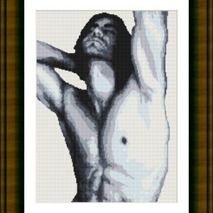 Patrones de punto de cruz del torso de un hombre desnudo