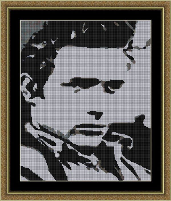 Patrones de punto de cruz de James Dean