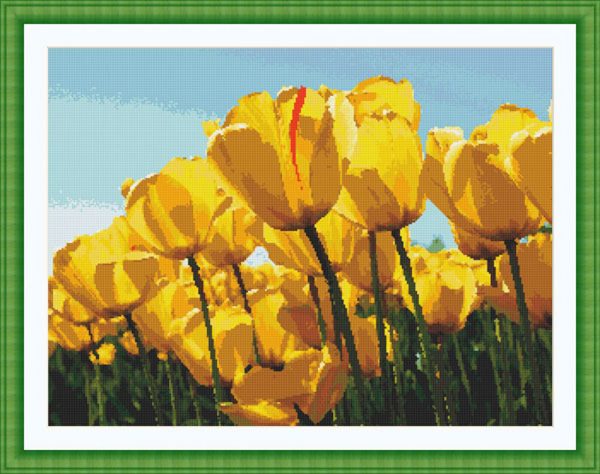 Patrones de punto de cruz de tulipanes amarillos