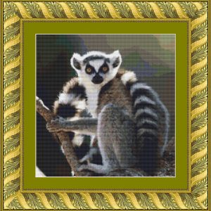 Patrones de punto de cruz de lemures de Madagascar