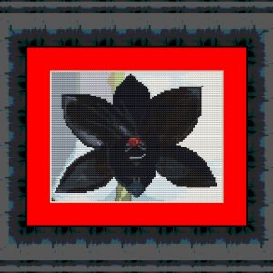 Patrones de punto de cruz de una orquídea negra