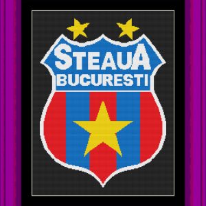 Patrones de punto de cruz del escudo de Steaua Bucuresti