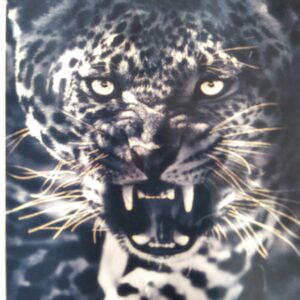 Paint by numbers canvas of a leopard's head