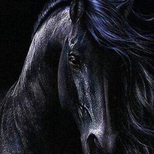Black Horse Head Needleless Cross Stitch Canvas