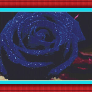 Patrones de punto de cruz de una Rosa de color azul